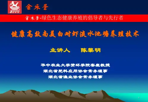 南美白对虾