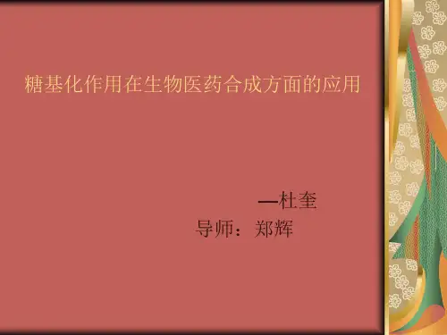 糖基化作用在生物医药合成系列