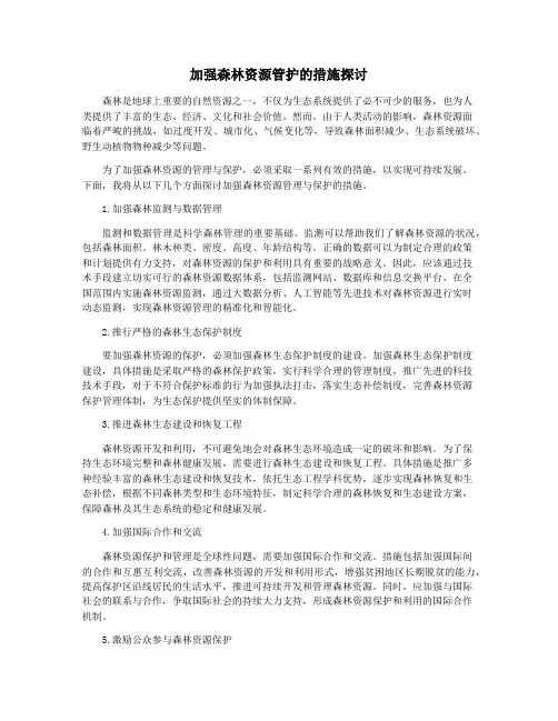 加强森林资源管护的措施探讨