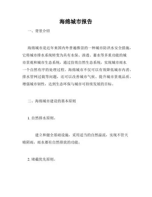海绵城市报告