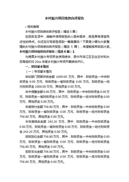 乡村振兴项目绩效自评报告