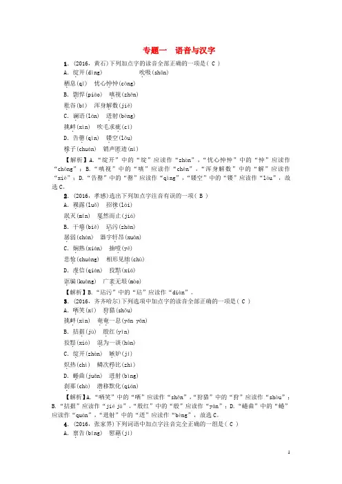 中考语文总复习 专题突破练 专题一 语音与汉字