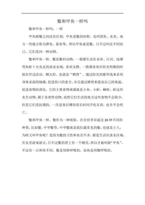 鳖和甲鱼一样吗