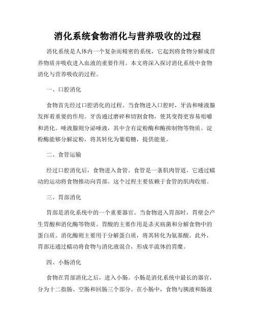 消化系统食物消化与营养吸收的过程