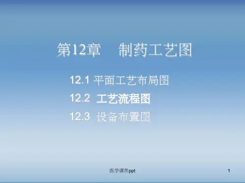 《制药工艺》PPT课件