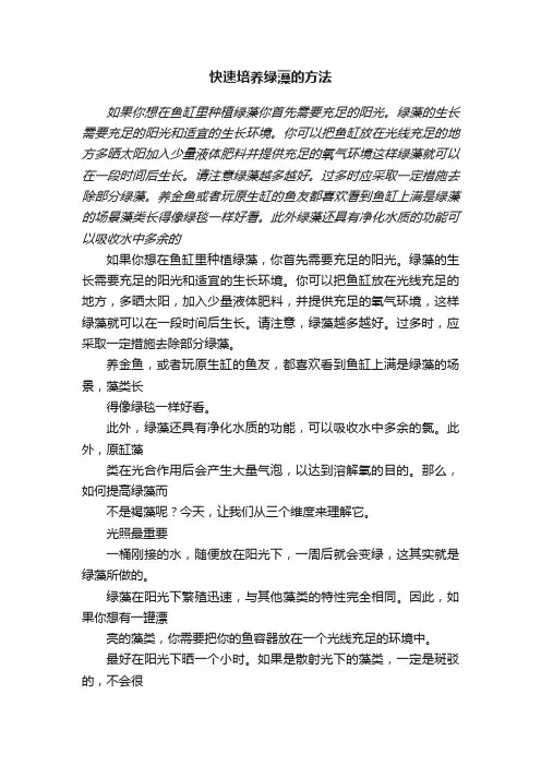 快速培养绿藻的方法