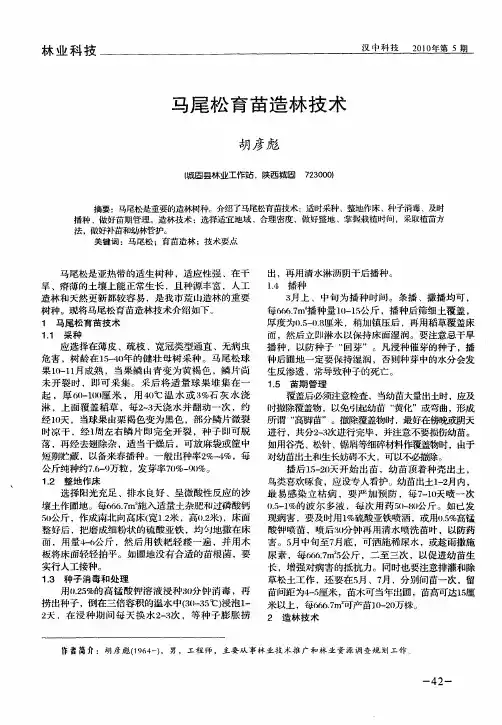 马尾松育苗造林技术