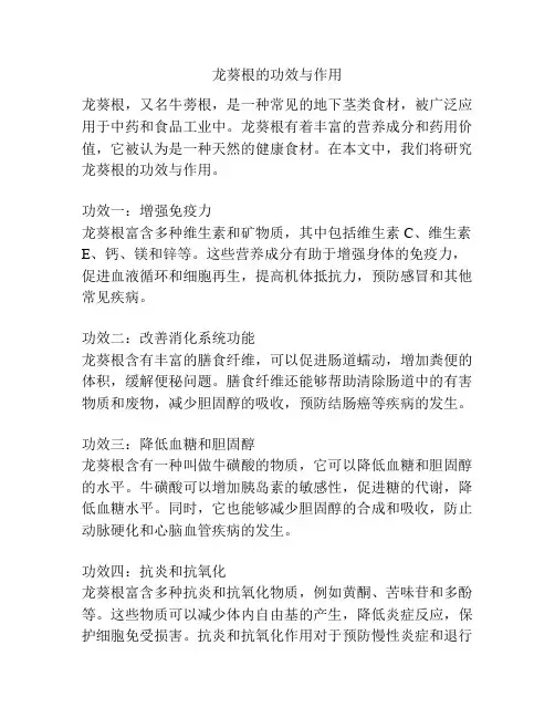 龙葵根的功效与作用