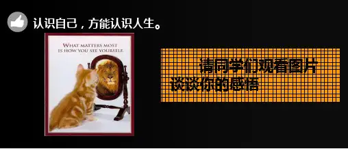 202X年 高中心理健康主题教育班会 认识自我 塑造自我 说课PPT模板