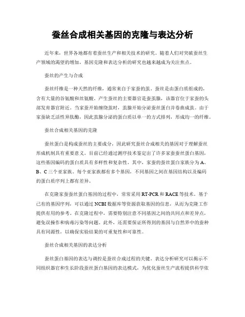 蚕丝合成相关基因的克隆与表达分析