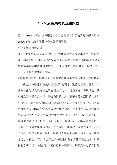 20XX水务局局长述廉报告