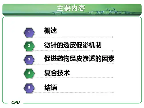 制剂新剂型与新技术PPT