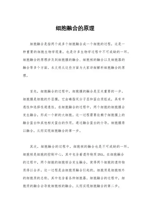 细胞融合的原理