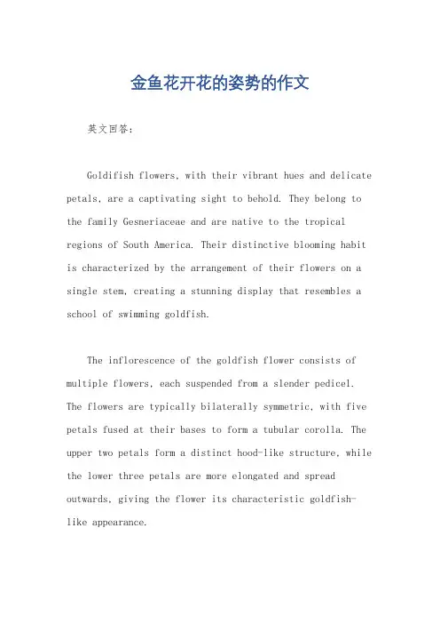 金鱼花开花的姿势的作文