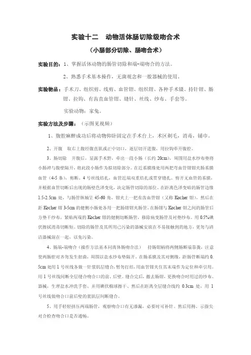 实验十二动物活体肠切除级吻合术
