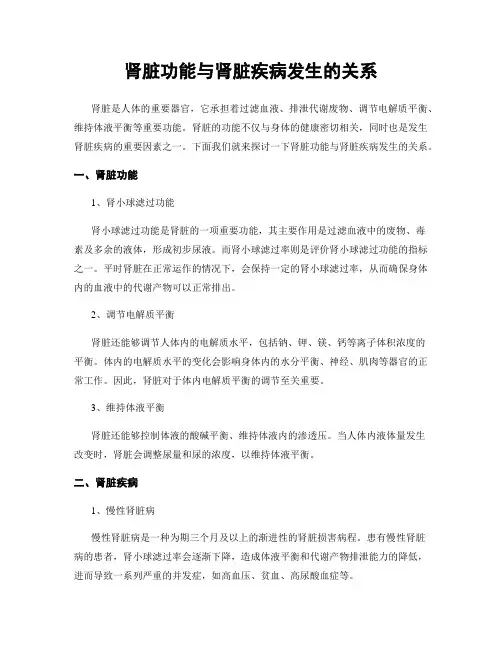 肾脏功能与肾脏疾病发生的关系