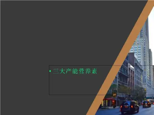 三大产能营养素