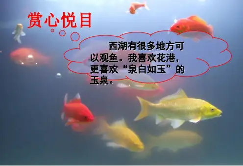 27鱼游到了纸上(公开课)精品ppt课件