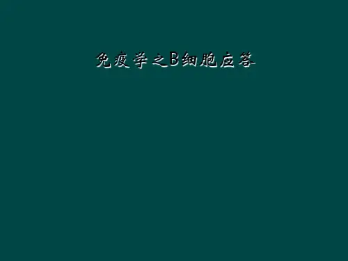 免疫学之B细胞应答