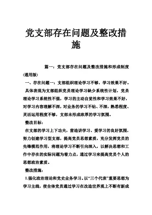 党支部存在问题及整改措施