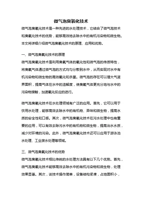 微气泡臭氧化技术