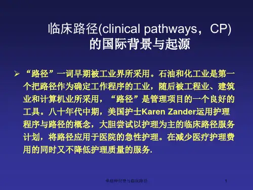 单病种付费与临床路径培训课件