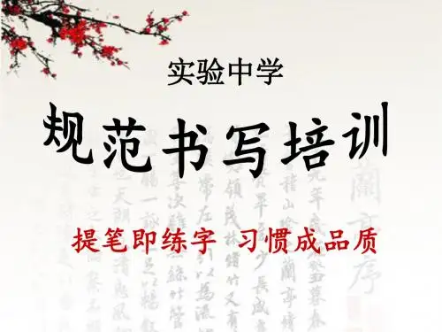 实验中学规范书写培训