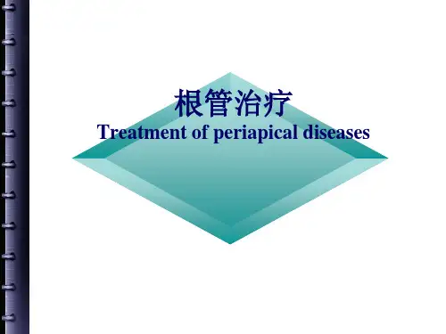 根管治疗的步骤、方法、器械ppt课件