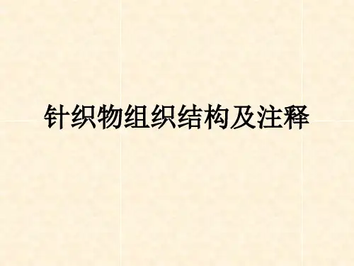 针织物组织结构及注释