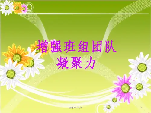 增强团队凝聚力ppt课件