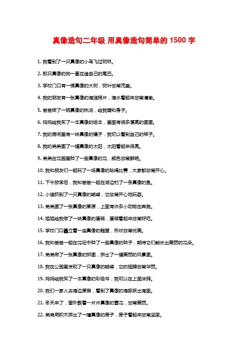 真像造句二年级 用真像造句简单的