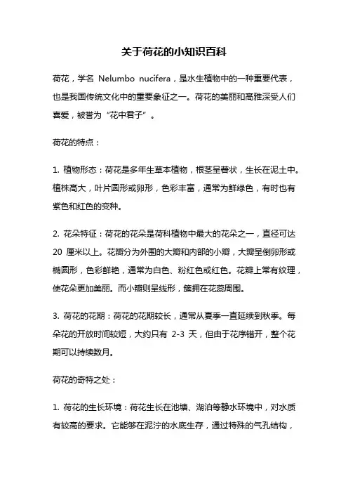 关于荷花的小知识百科