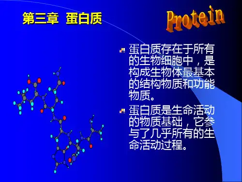 第三章蛋白质ppt课件