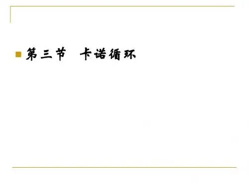 北京科技大学物理化学A2.3-2.6熵