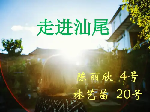 走进汕尾