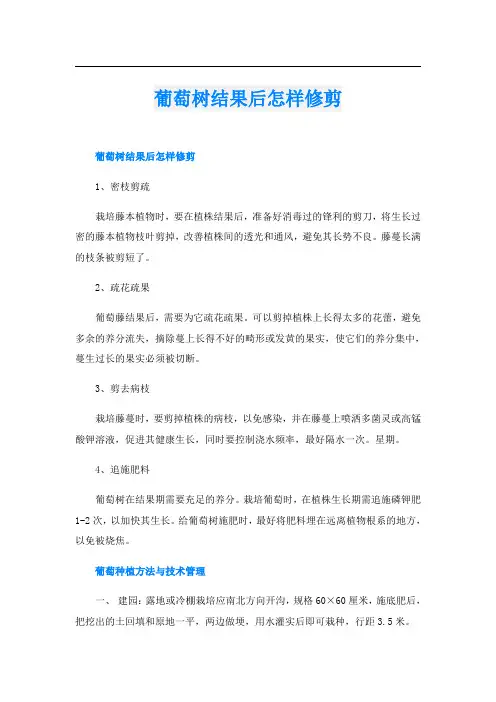 葡萄树结果后怎样修剪