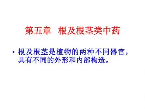 根及根茎类概述