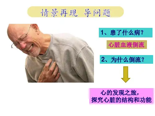 人教版生物七下心脏的结构终稿ppt