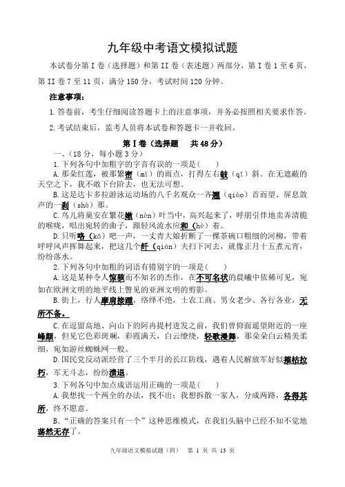 山东省泰安市2020届九年级下学期语文中考模拟试题(含答案)