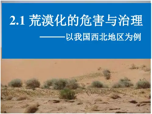 湘教版高中地理必修三2.1 荒漠化的危害与治理 课件(共36张PPT)