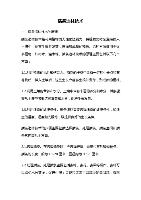 插条造林技术