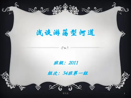 浅谈游荡型河道(内容详实)