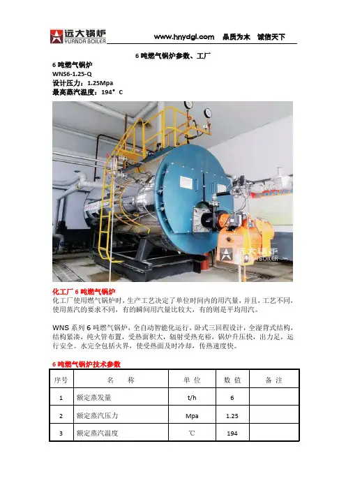 6吨燃气锅炉参数、工厂