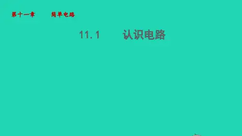 九年级物理全册第11章简单电路11-1认识电路教学新版北师大版