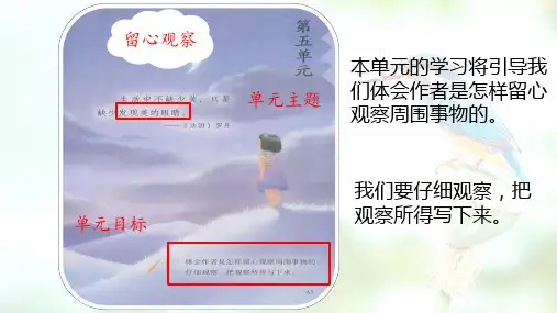 三年级上册语文搭船的鸟课件PPT