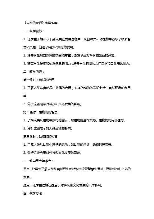 《人类的老师》教学教案