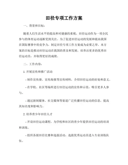 田径专项工作方案