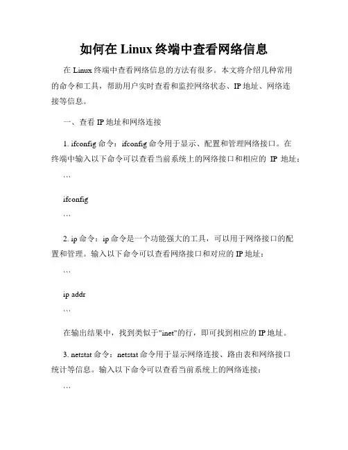 如何在Linux终端中查看网络信息