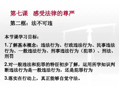第二框：法不可违