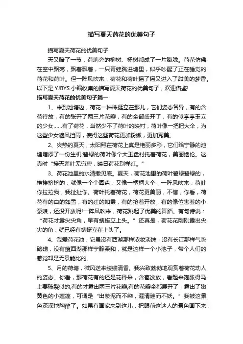 描写夏天荷花的优美句子